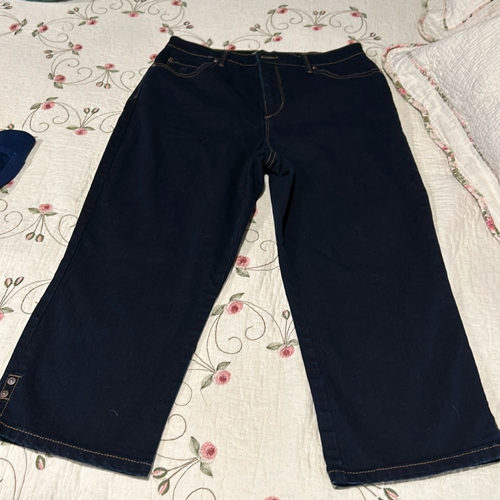 Gloria Vanderbilt All-Around Slimming Effect Capris Size 8 NWOT